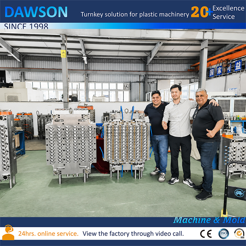 Custom Plastic Preform Injection Mold for PET Bottle Manufacturing