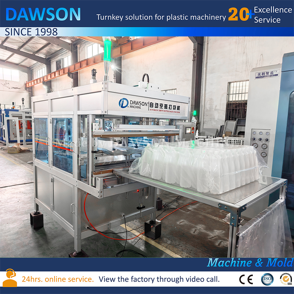 1L HDPE Cleaning Bottle Making Machine DSB80II Double Station Extrusion Blow Molding Machine